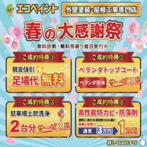 必見！！＼＼春の大感謝祭スタート／／